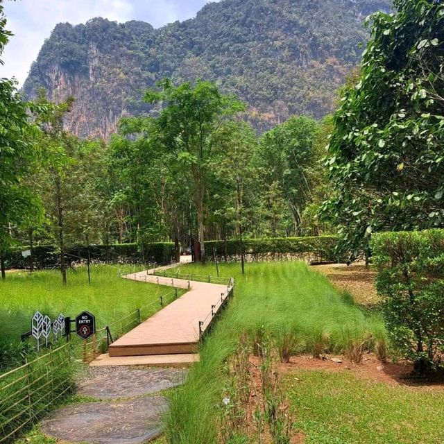 Into the forest คาเฟ่กลางหุบเขา 