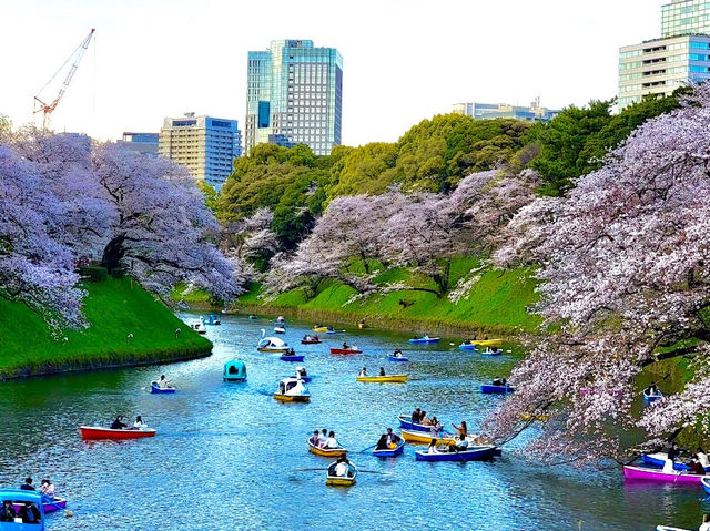 Chidorigafuchi Moat