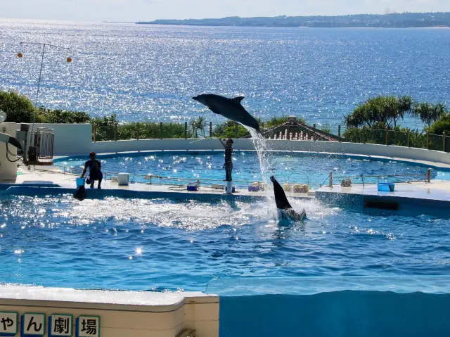 沖繩｜美麗海水族館