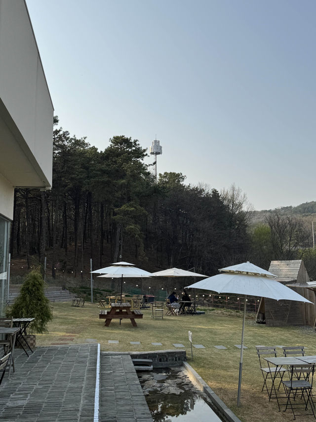 경기도 애견동반 가능한 카페 시숲