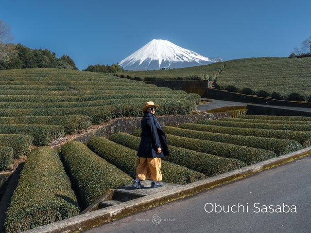 🇯🇵 วันเดียว เที่ยว 5 ทะเลสาบ รอบฟูจิ 🗻