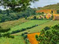 Rong Kla Panorama Scenic View