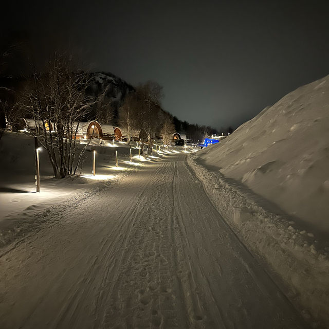 Snowmobile adventure & snow crabs feast