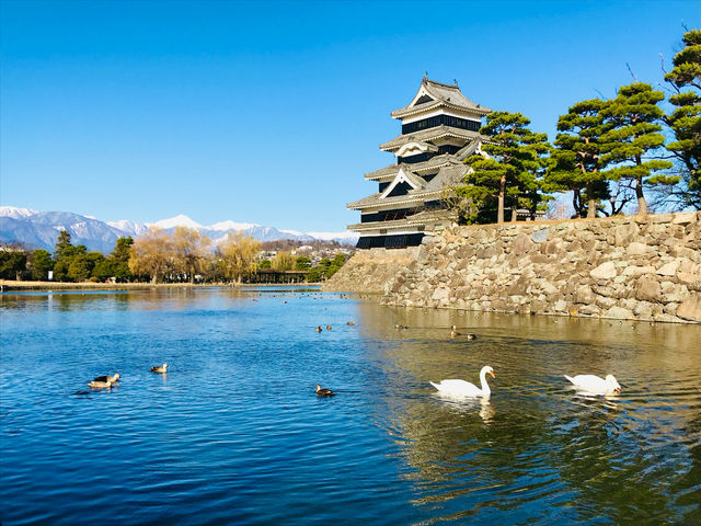 A symbol of Japan's rich heritage🇯🇵