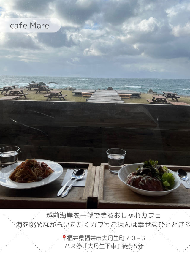【福井】写真映えスポットからご当地グルメまで✨福井県でやりたいことをまとめたよ✍