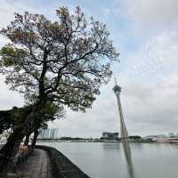 The View at Nam Van Lake