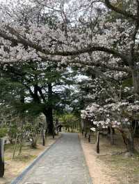 松門神社を参拝！