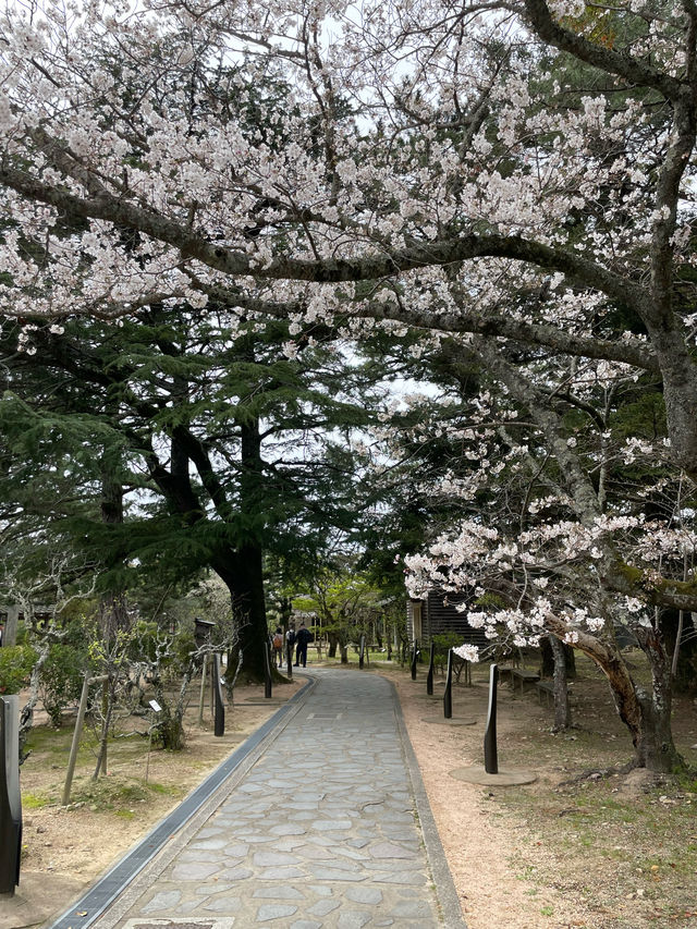 松門神社を参拝！