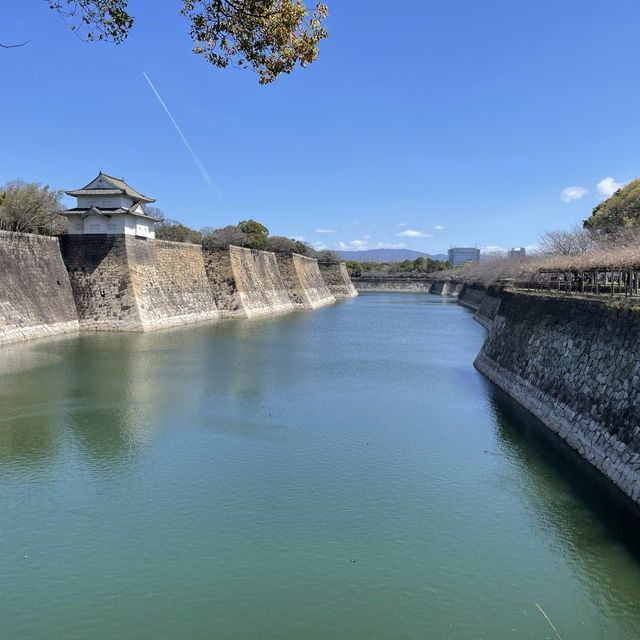 【大阪府】大阪城公園に桜を先取りに行きました