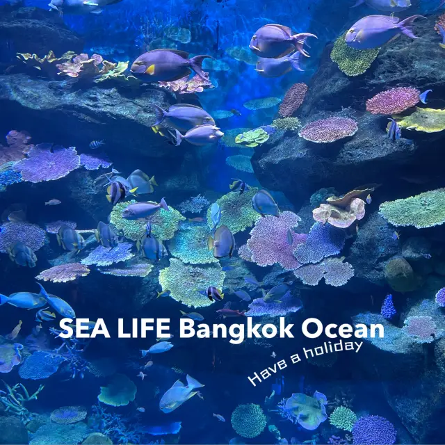 SEA LIFE Bangkok Ocean World