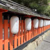 一趟心靈洗滌之旅-宇治平等院⛩️