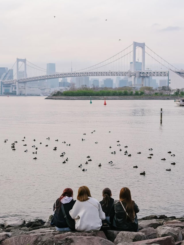 นั่งดูพระอาทิตย์ลับขอบฟ้าที่ 'Odaiba Beach' 🌸🌉