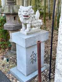 【上宮大澤神社/東京都】美しい竹林が見られる