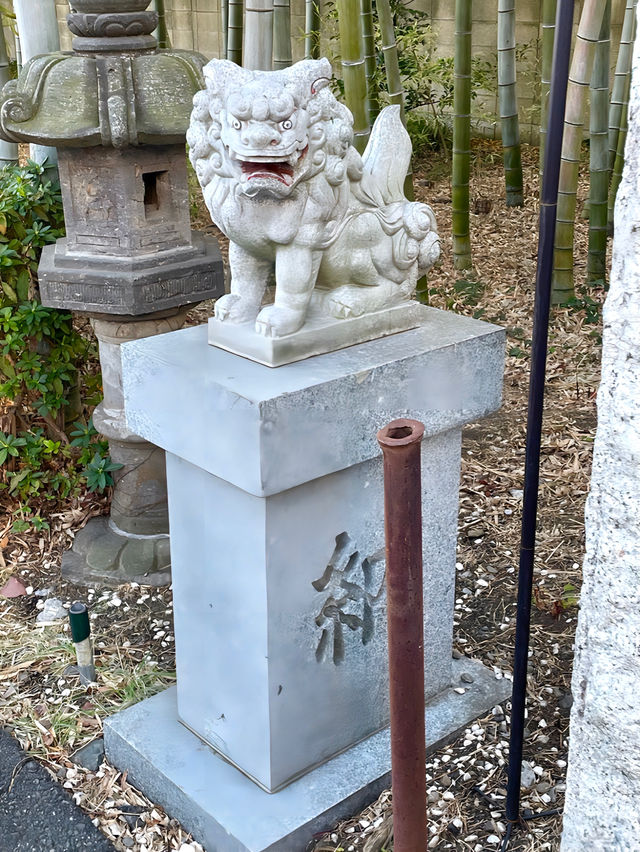 【上宮大澤神社/東京都】美しい竹林が見られる