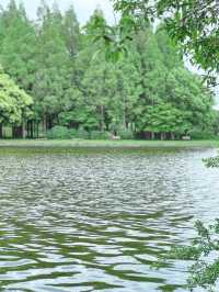 GWプランがないあなたにも楽しめる都内公園