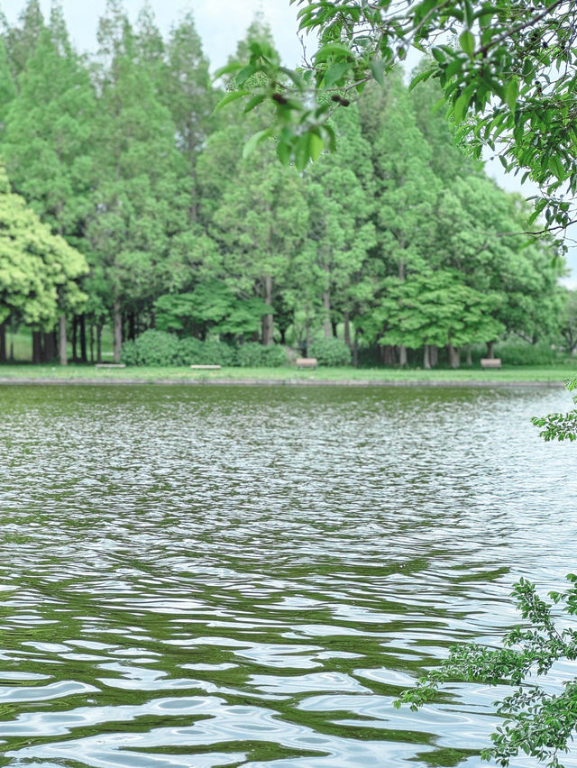 GWプランがないあなたにも楽しめる都内公園