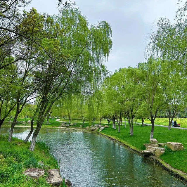 上海辰山植物園：綠意盎然