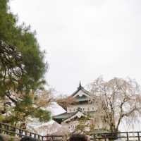 【青森】東北随一の桜スポット！弘前公園