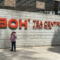 Trip to Cameron Highlands and stop in Gua Musang