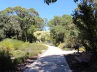 Charming Park in Perth, Australia 🇦🇺