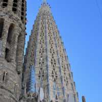 Sagrada Família – “The Forest and the Symphony of Light Within the Basilica”