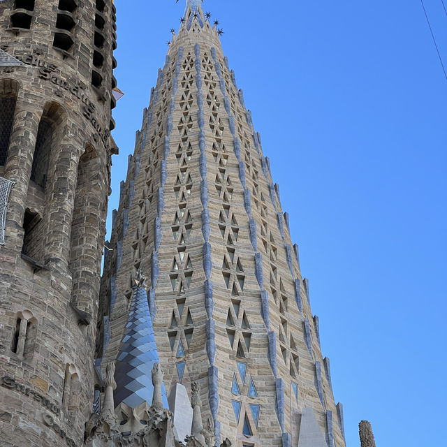 Sagrada Família – “The Forest and the Symphony of Light Within the Basilica”