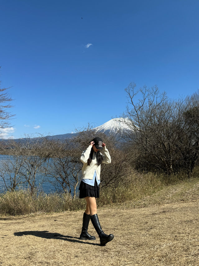 후지산을 여유롭게 즐기고 싶다면 타누키호수로 오세요 💚