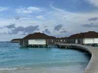 The Maldives-Paradise living with nature