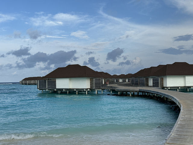 The Maldives-Paradise living with nature