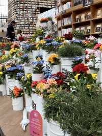 🇰🇷インスタ映えピョルマダン図書館