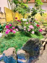 【島根　松江】庭園の中を歩ける
