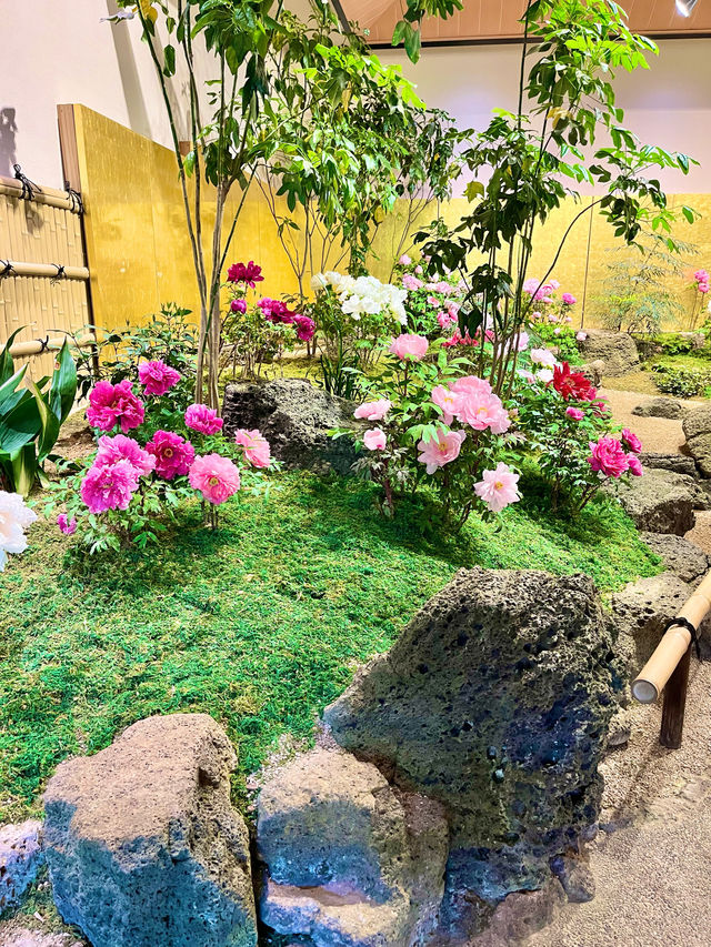 【島根　松江】庭園の中を歩ける