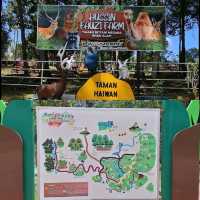 【吉隆坡】馬來西亞國家植物園，適合親子遊