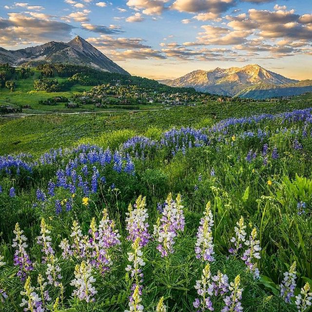 Colorado USA 