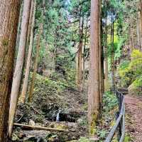 岩門の滝