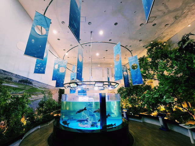 Seomjingang River Fish Museum