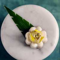 Candlenut