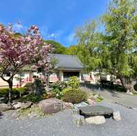 Serene Sanctuary in Wakkanai's Heart