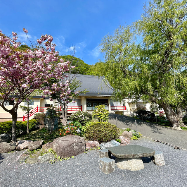 Serene Sanctuary in Wakkanai's Heart
