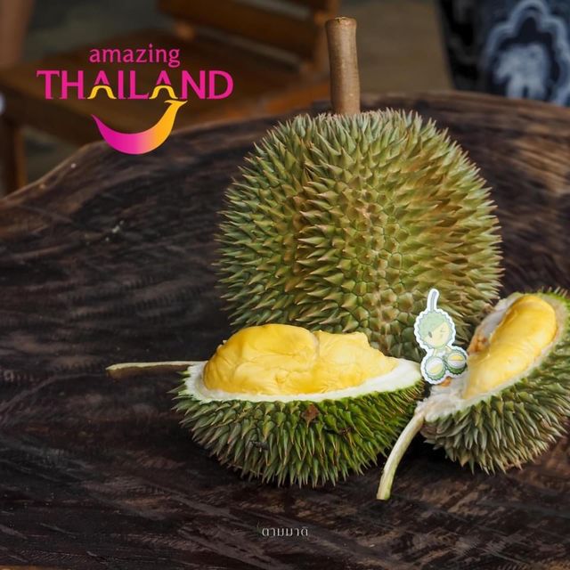 เที่ยว กิน ช็อป ผลไม้ที่พังงา ✨