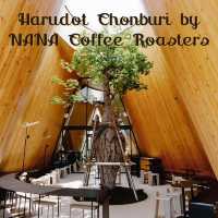 💢 Harudot Chonburi by NANA Coffee Roasters