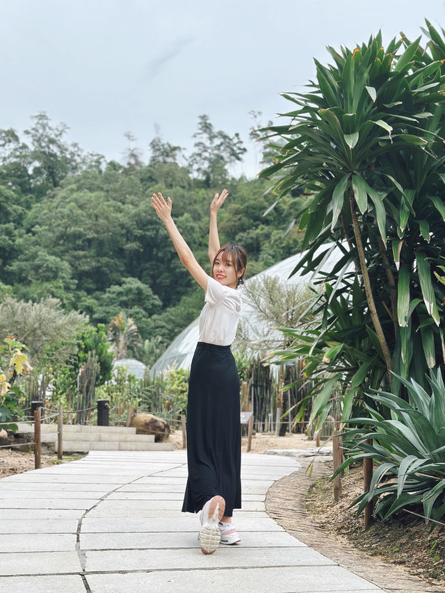 【大自然之旅】仙湖植物園：適合現在前往！