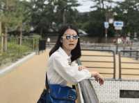 ให้อาหารกวางที่ NARA PARK | Osaka 🇯🇵