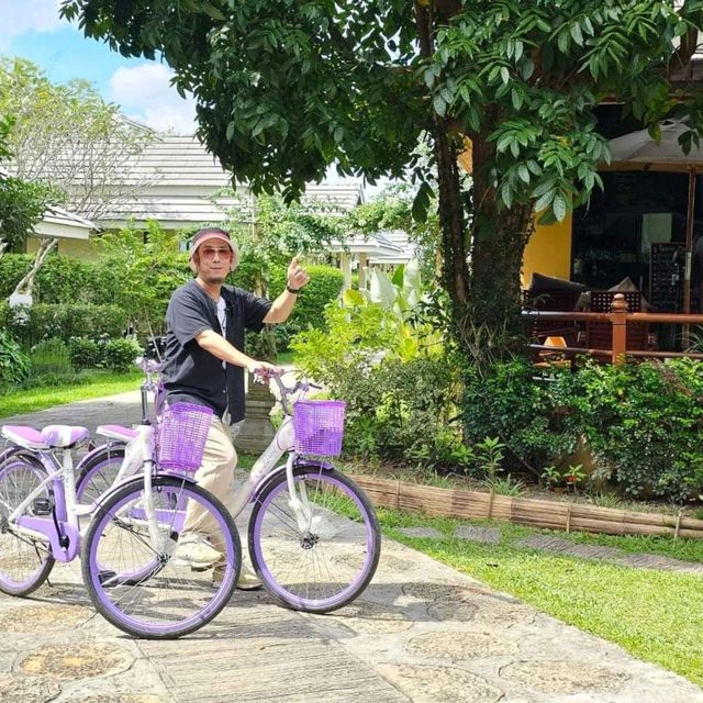 แจกพิกัด คาเฟ่ที่มีน้องช้าง สันกำแพง เชียงใหม่