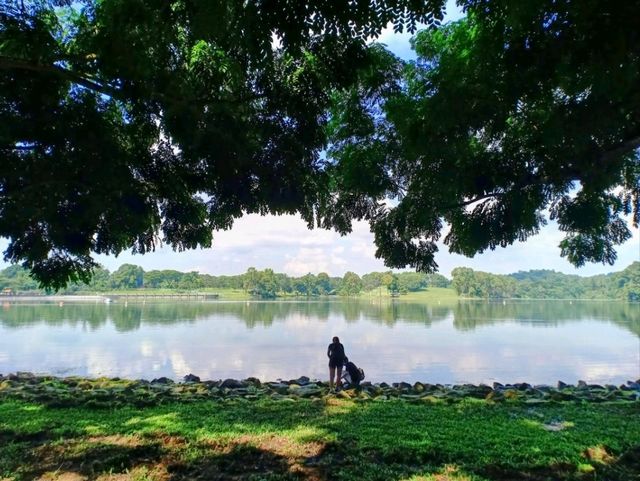 🇸🇬 Lower Peirce Reservoir Park