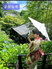 〜神奈川県〜穴場〜ライトアップまで！紫陽花スポット6選！