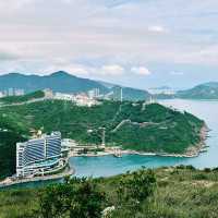 玉桂山鴨脷排行山攻略