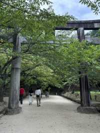 【福岡神社】初夏の風物詩のあじさい祭りがとてもキレイ