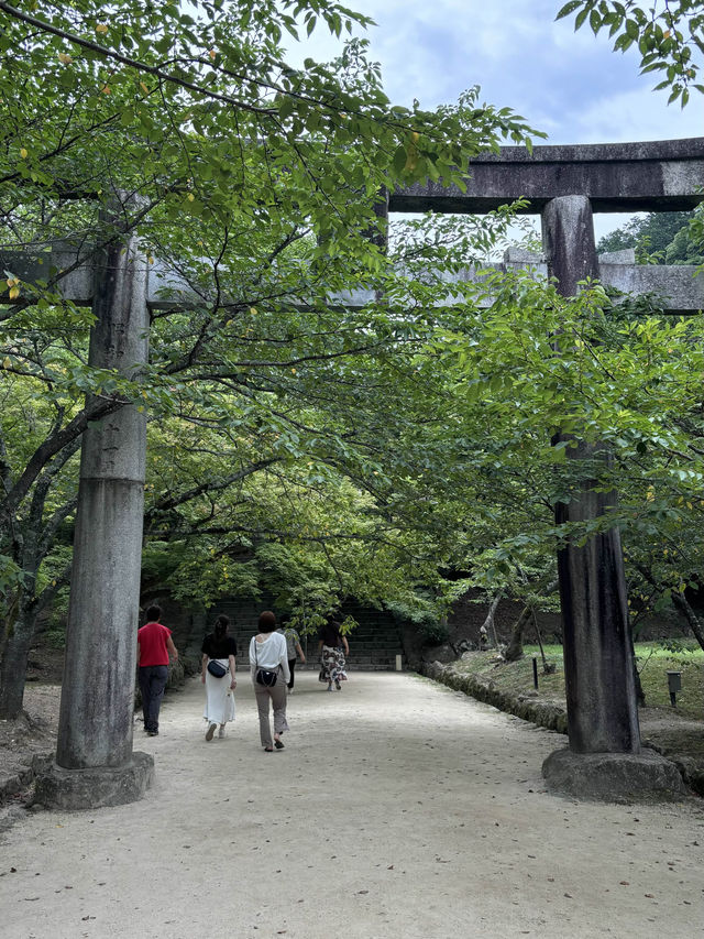 【福岡神社】初夏の風物詩のあじさい祭りがとてもキレイ