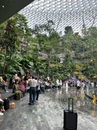 【チャンギ空港】世界一美しい／洗練された空港／シンガポール